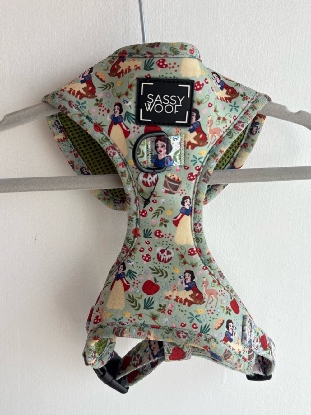 Sassy Woof Snow White Print Dog Harness - Mint Green & Red Small